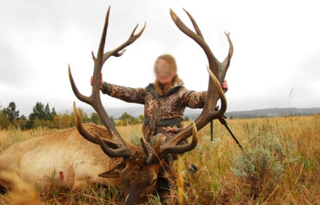 person posing with an elk and horns