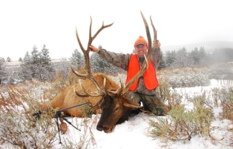 man posing with an elk and horns