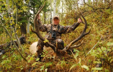 man posing with an elk and horns