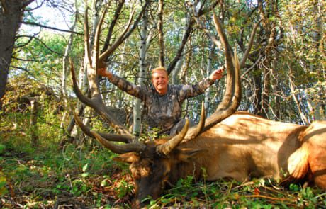 man posing with an elk and horns