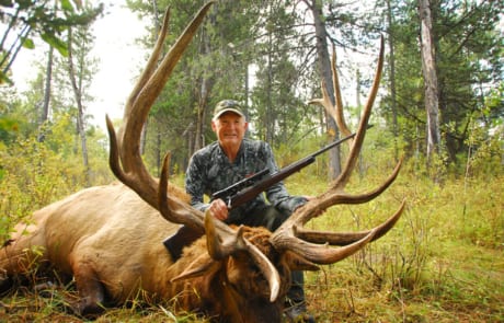 man posing with an elk and horns