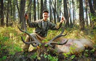 man posing with an elk and horns