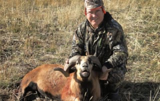 man posing with a ram