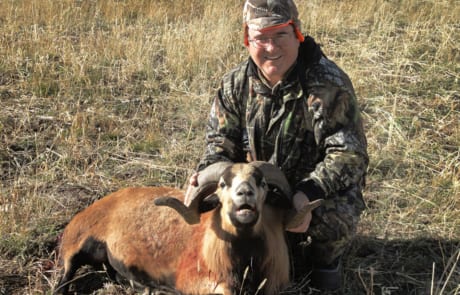 man posing with a ram