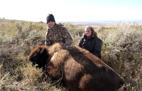 man and woman posing with a buffalo