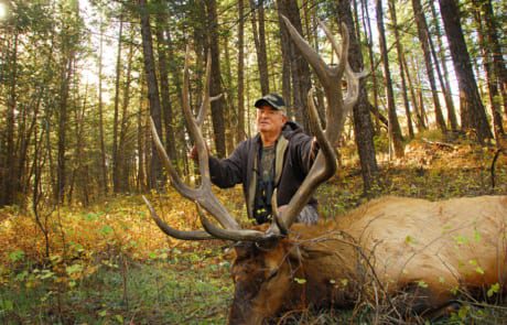 man posing with an elk and horns