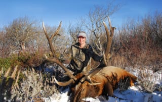 woman posing with an elk and horns