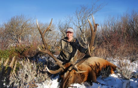 woman posing with an elk and horns