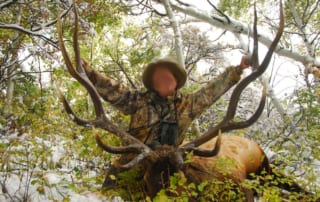 person posing with an elk and horns
