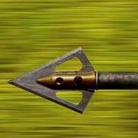 Arrow closeup of modern arrow head