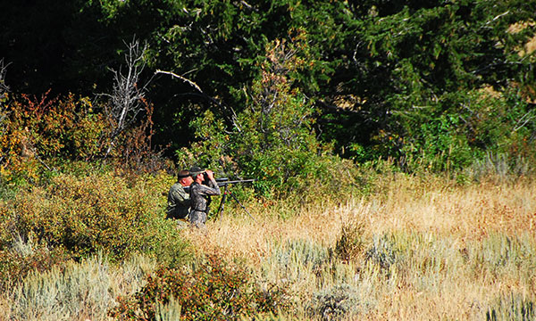 men in field scouting elk