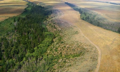 aerial view of fields