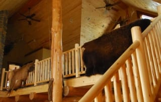 lodge interior - second floor railing with pelts