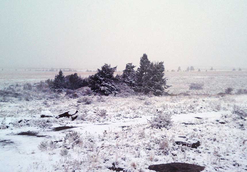 Field in winter.