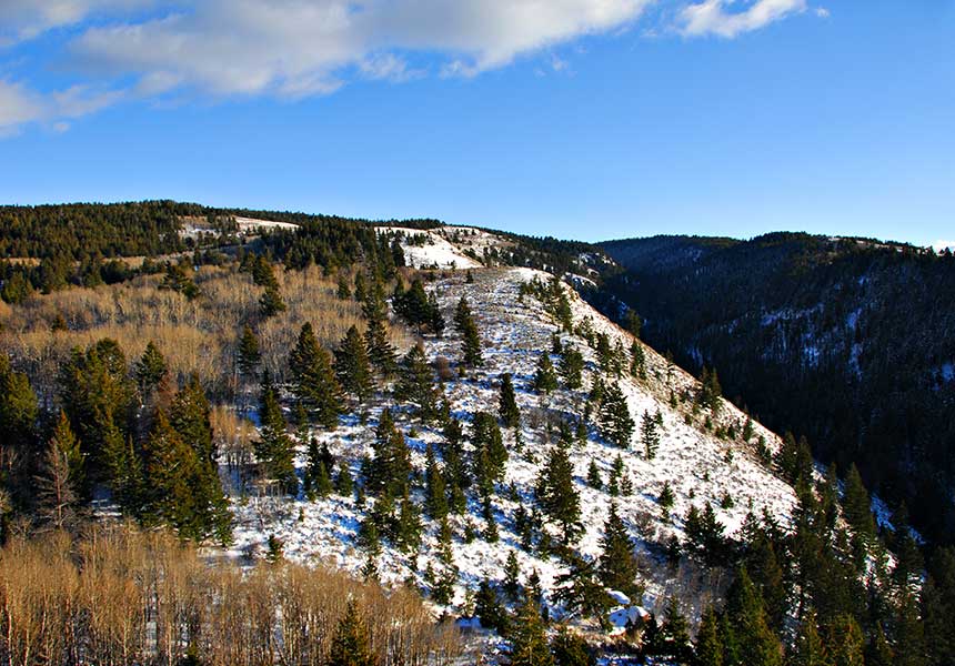 aerial view of snowy hills and forests