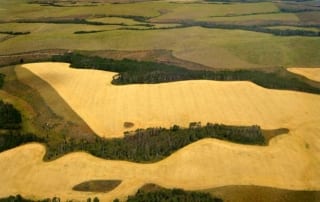 aerial view of fields