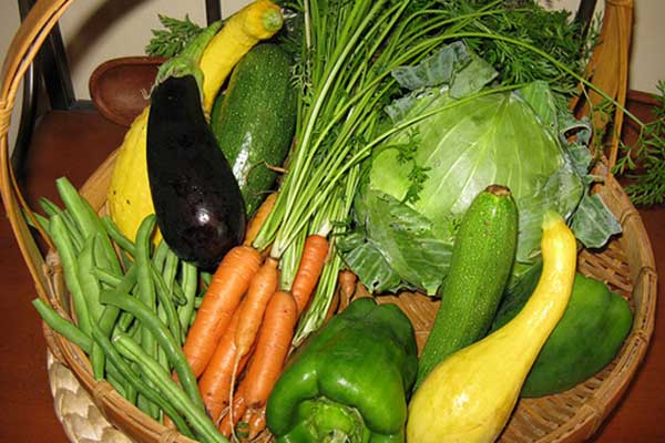 home grown vegetables