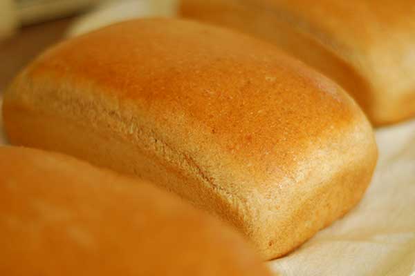 loaves of cornbread