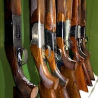 Shotgun several shotguns in storage