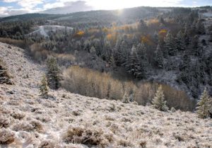 Enjoy Idaho's scenic winter landscapes on a snowshoeing adventure