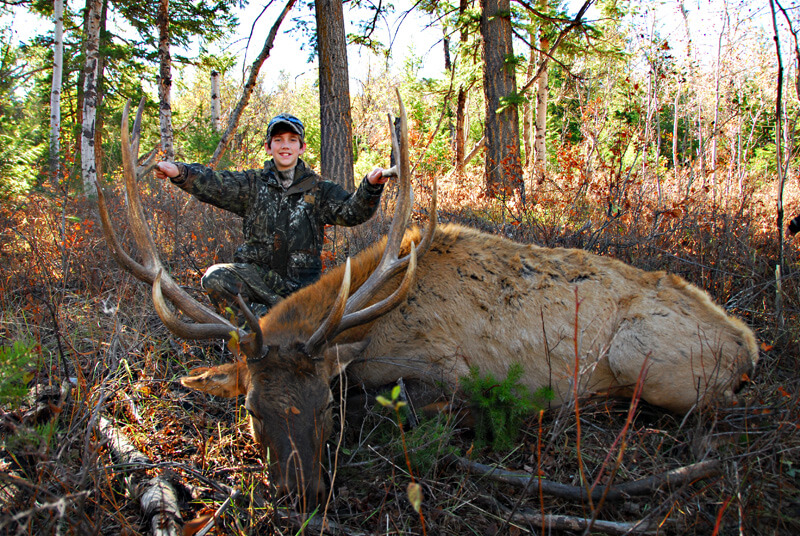 A boy poses with his elk that he shot during a guaranteed elk hunt