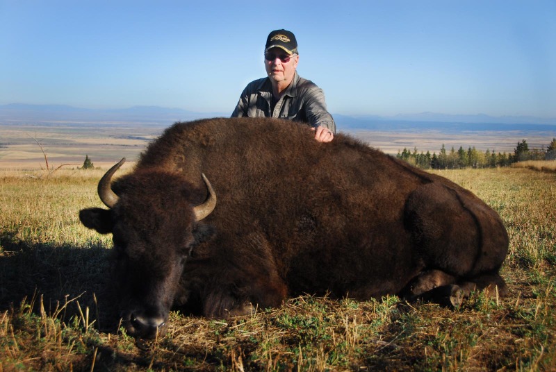 Buffalo Hunting: An avid hunter stands behind a large buffalo amid the Northern Idaho mountains at Rocky Mountain Elk Ranch.